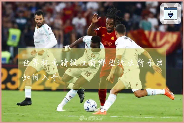 世界杯竞猜投注有哪些玩法新手该如何入手