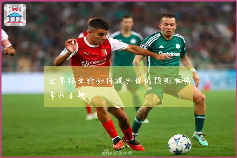 世界杯竞猜如何提升你的预测准确率和乐趣