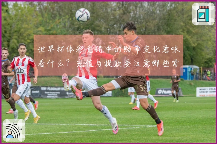 世界杯体彩竞猜中的赔率变化意味着什么？充值与提款要注意哪些常见问题？