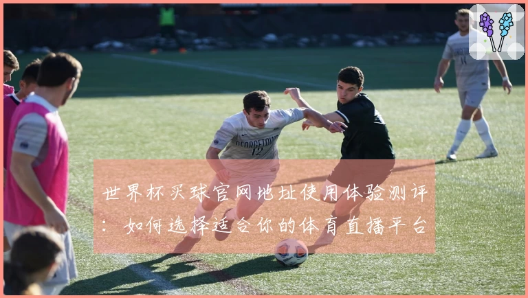 世界杯买球官网地址使用体验测评：如何选择适合你的体育直播平台