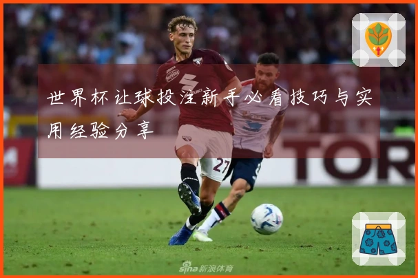世界杯让球投注新手必看技巧与实用经验分享