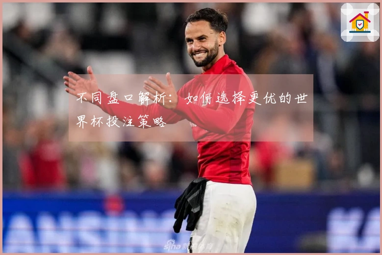 不同盘口解析：如何选择更优的世界杯投注策略