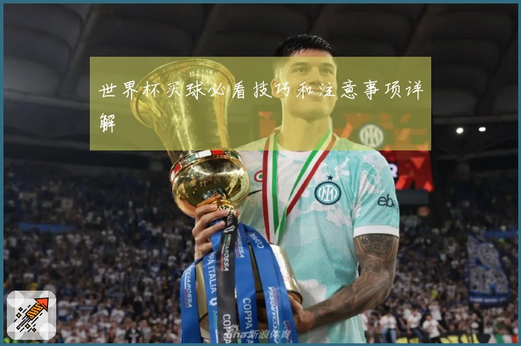 世界杯买球必看技巧和注意事项详解