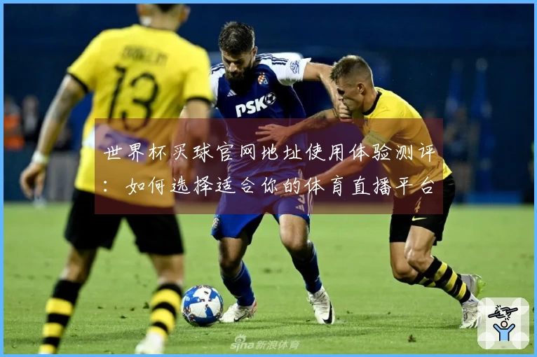 世界杯买球官网地址使用体验测评：如何选择适合你的体育直播平台