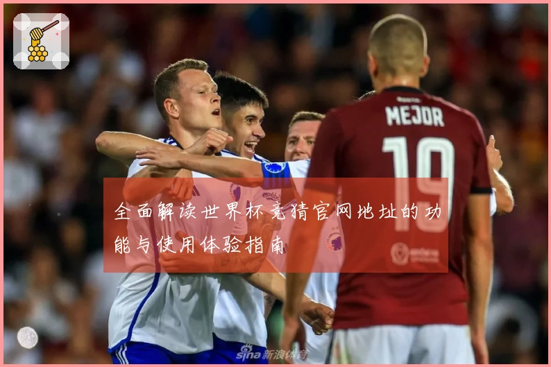 全面解读世界杯竞猜官网地址的功能与使用体验指南