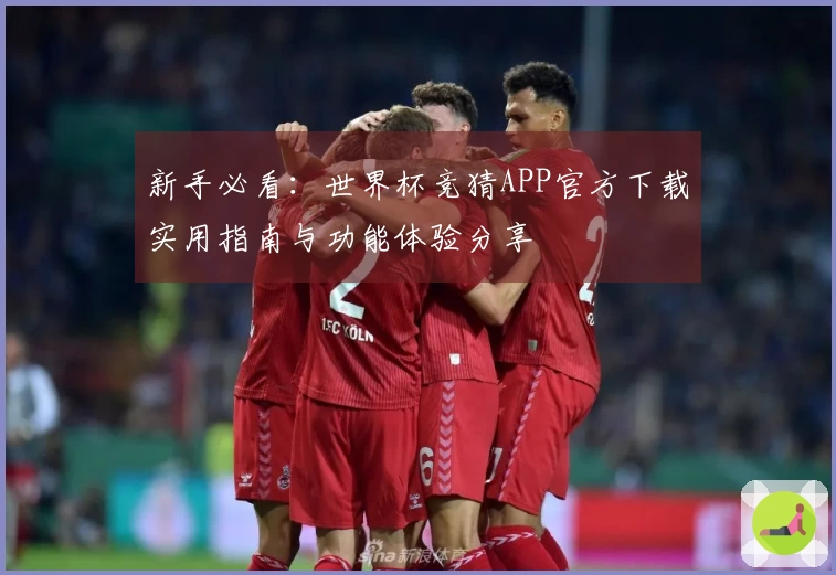 新手必看：世界杯竞猜APP官方下载实用指南与功能体验分享