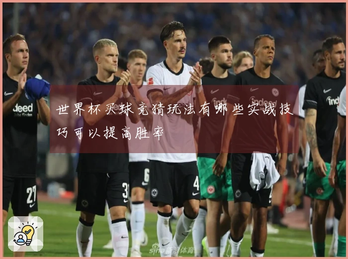世界杯买球竞猜玩法有哪些实战技巧可以提高胜率
