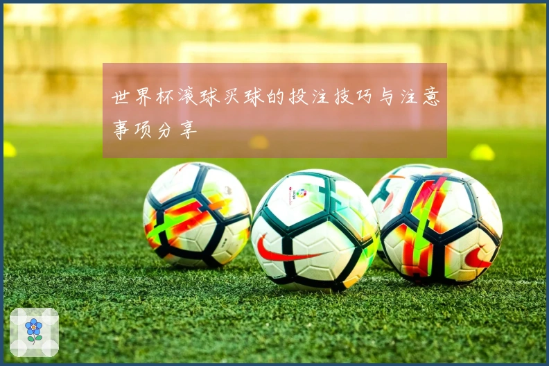 世界杯滚球买球的投注技巧与注意事项分享