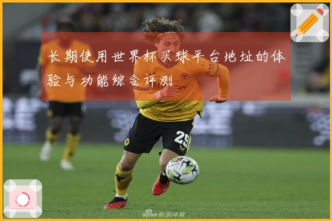 长期使用世界杯买球平台地址的体验与功能综合评测